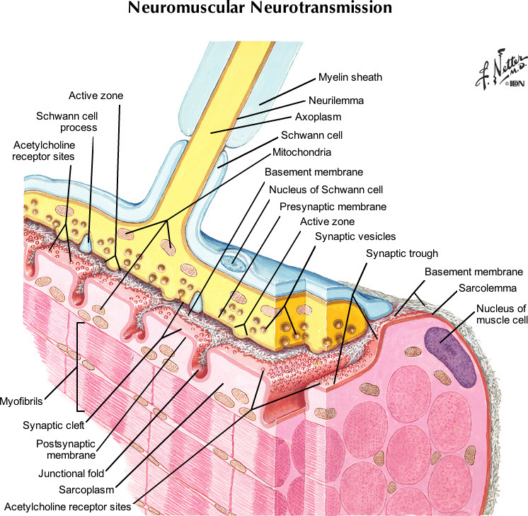%_tempFileNameFigureII.12B_l%