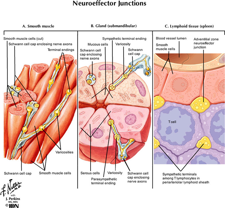 %_tempFileNameFigureII.13_l%