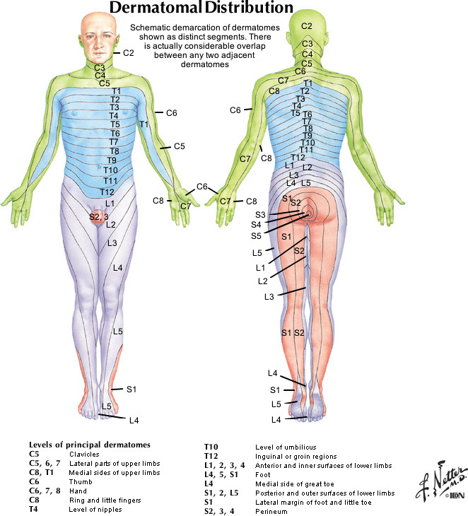 %_tempFileNameFigureII.14_l%