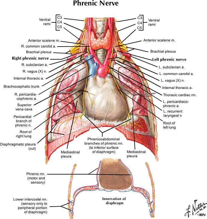 %_tempFileNameFigureII.16_l%