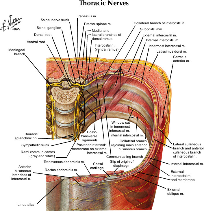 %_tempFileNameFigureII.17_l%
