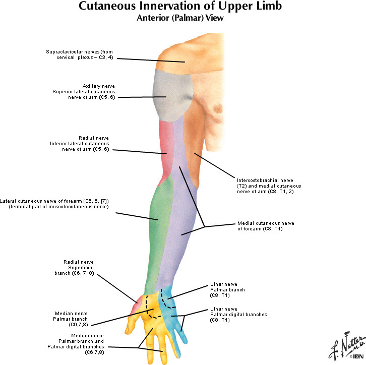 %_tempFileNameFigureII.19A_l%