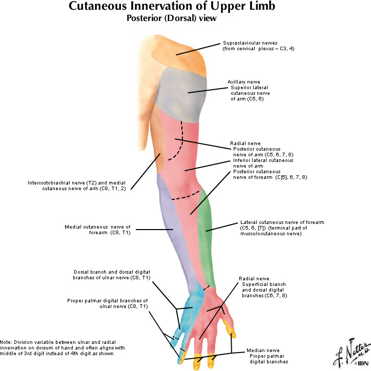 %_tempFileNameFigureII.19B_l%