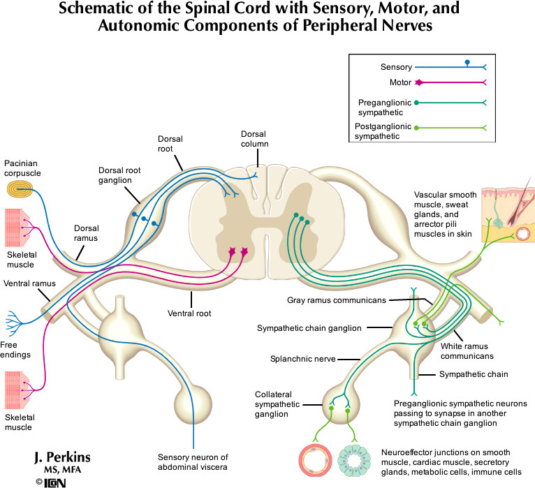 %_tempFileNameFigureII.1_l%