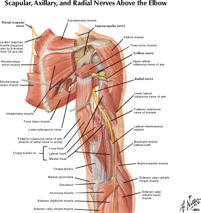 %_tempFileNameFigureII.20_l%