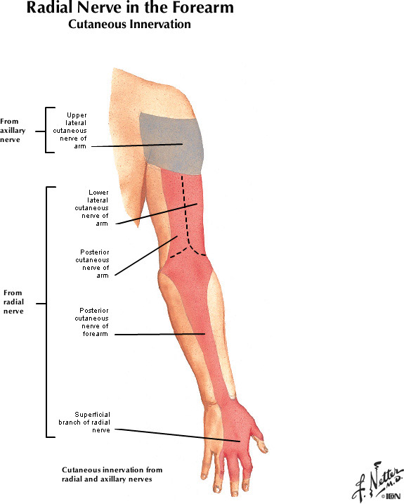 %_tempFileNameFigureII.21B_l%