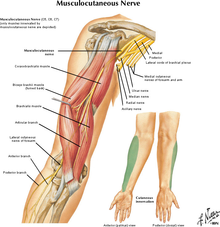 %_tempFileNameFigureII.22_l%