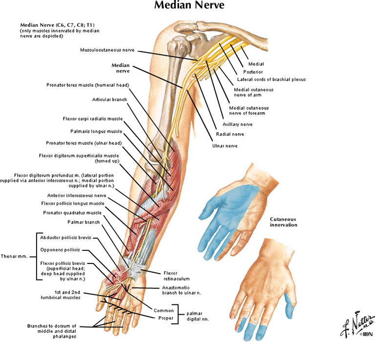 %_tempFileNameFigureII.23_l%