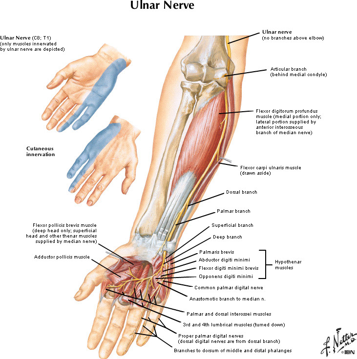 %_tempFileNameFigureII.24_l%