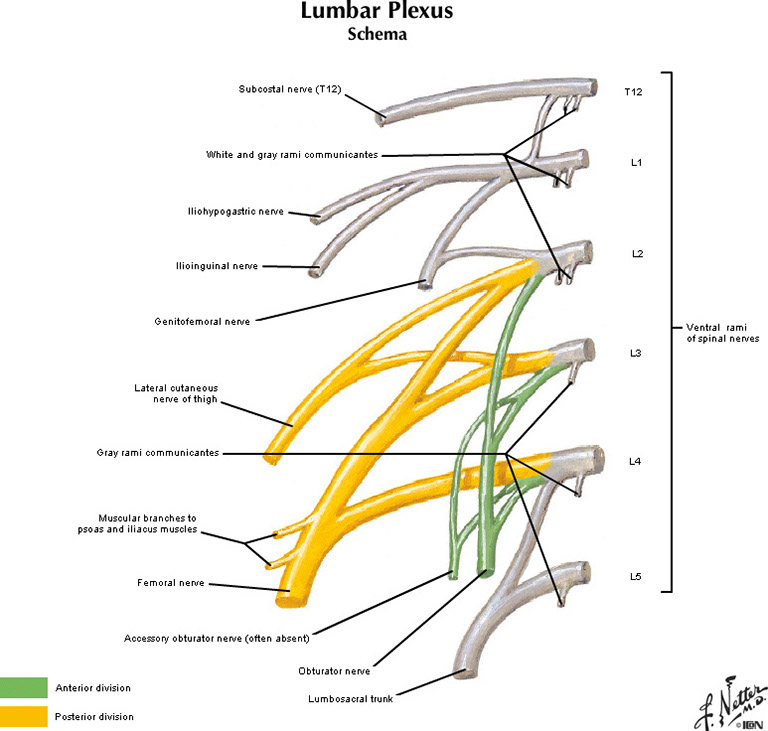 %_tempFileNameFigureII.25A_l%