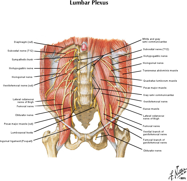 %_tempFileNameFigureII.25B_l%