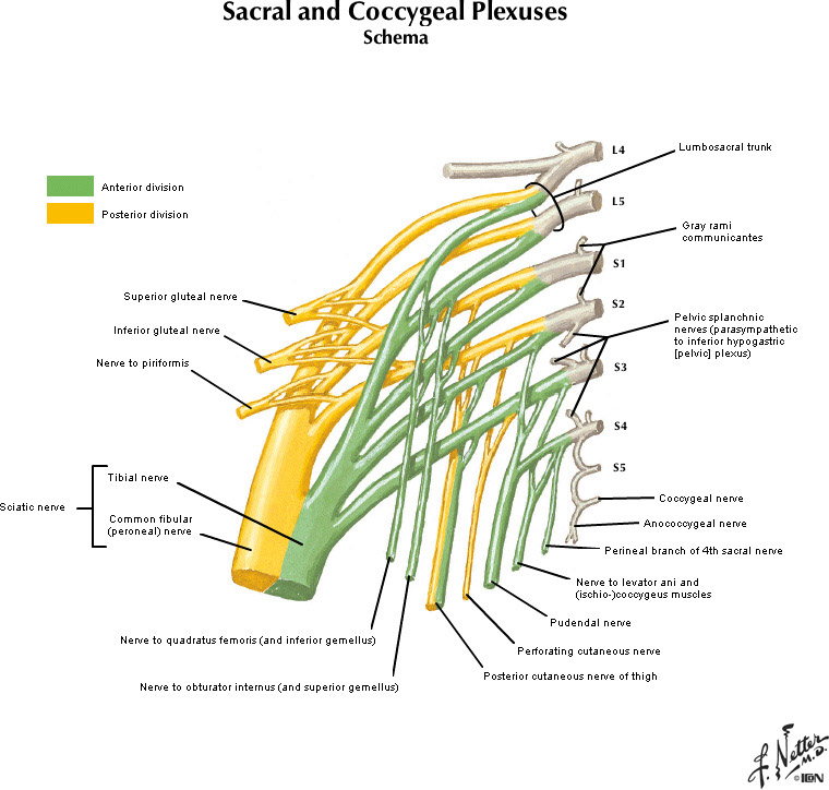%_tempFileNameFigureII.26A_l%
