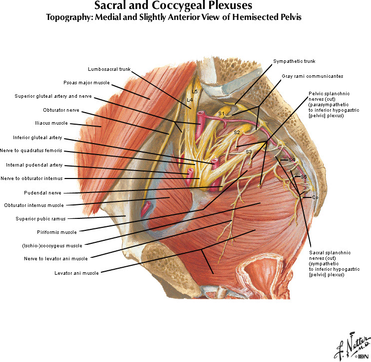 %_tempFileNameFigureII.26B_l%