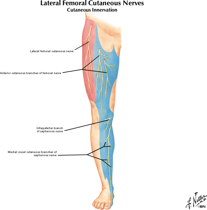 %_tempFileNameFigureII.27B_l%