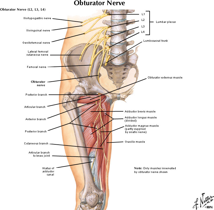 %_tempFileNameFigureII.28A_l%