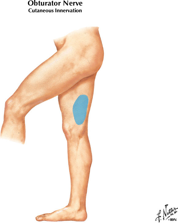 %_tempFileNameFigureII.28B_l%