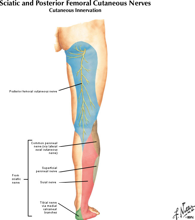 %_tempFileNameFigureII.29B_l%
