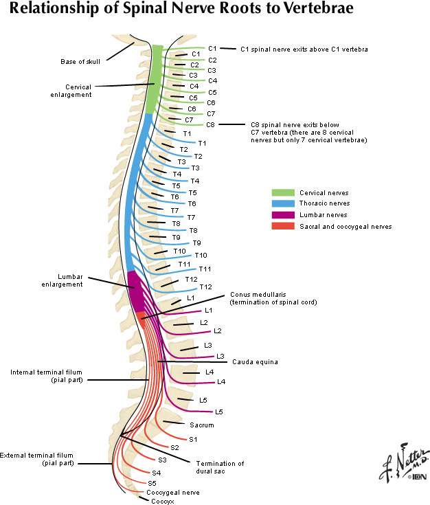 %_tempFileNameFigureII.2A_l%