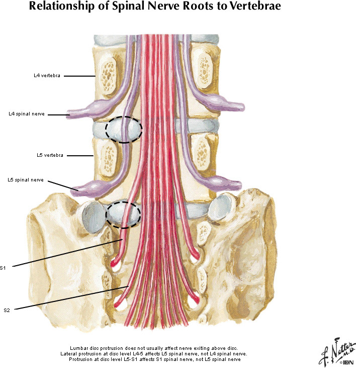 %_tempFileNameFigureII.2B_l%