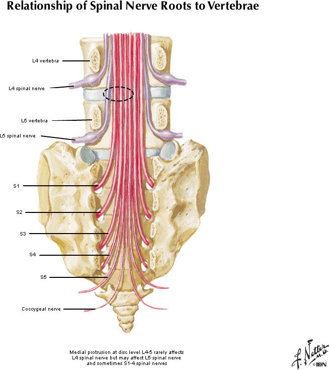 %_tempFileNameFigureII.2C_l%