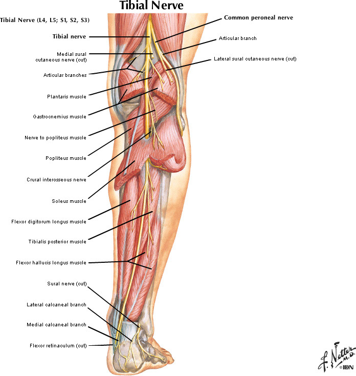 %_tempFileNameFigureII.30A_l%