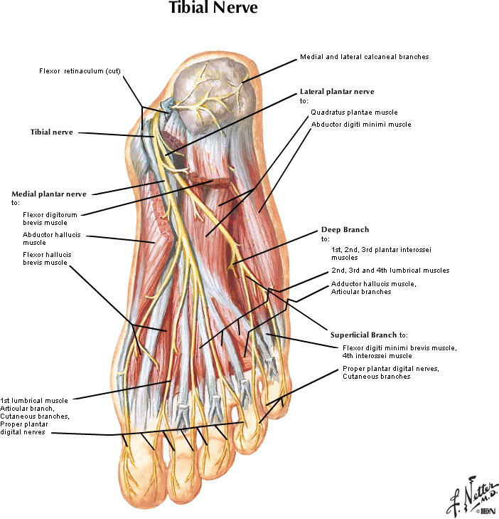 %_tempFileNameFigureII.30B_l%