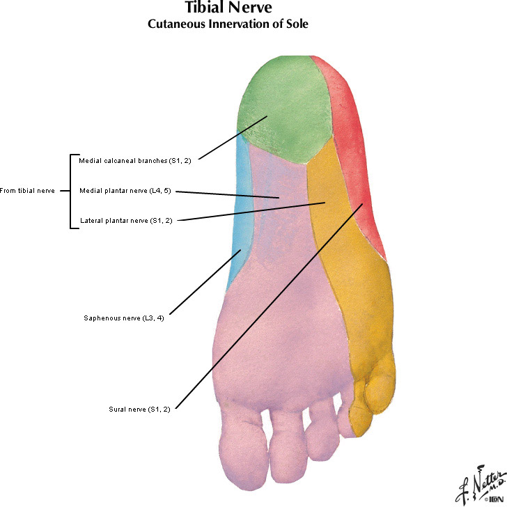 %_tempFileNameFigureII.30C_l%