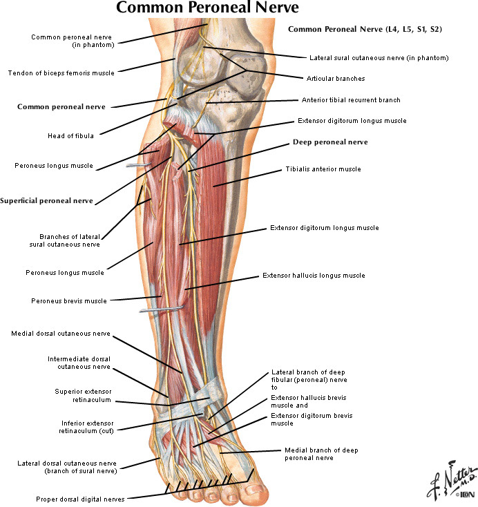 %_tempFileNameFigureII.31A_l%