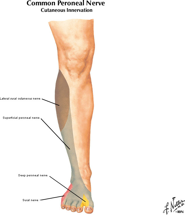 %_tempFileNameFigureII.31B_l%