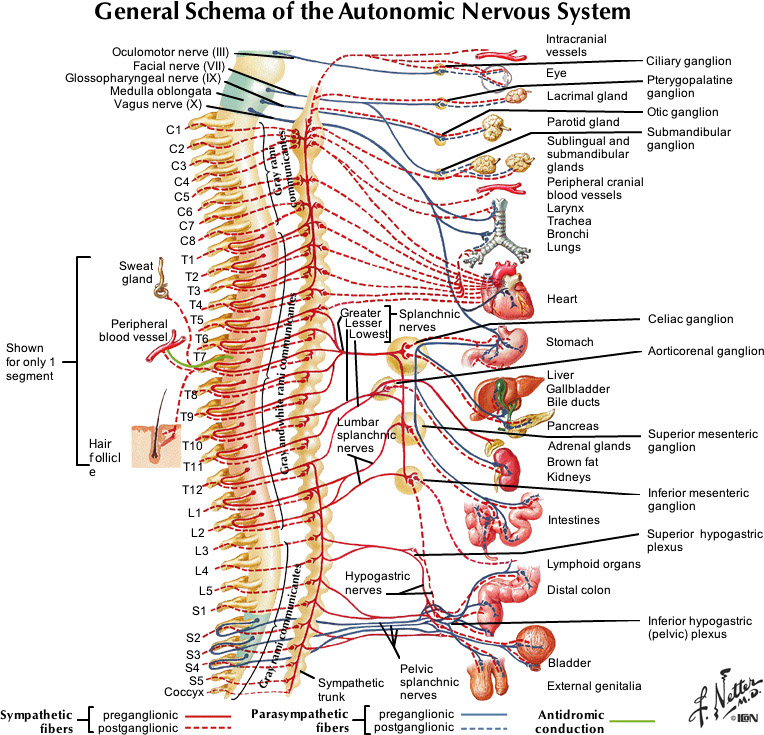 %_tempFileNameFigureII.32_l%