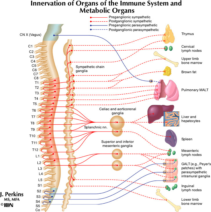 %_tempFileNameFigureII.33_l%