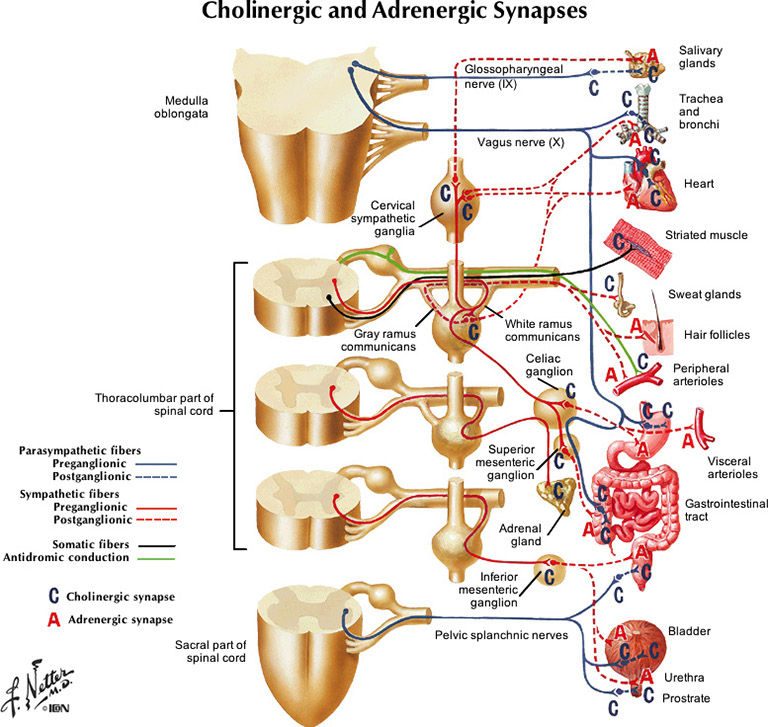 %_tempFileNameFigureII.35_l%