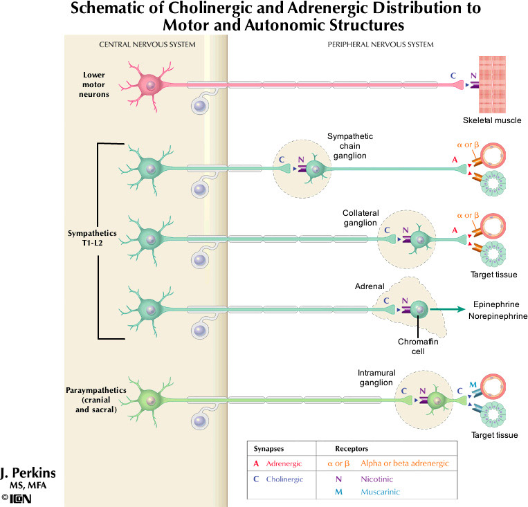 %_tempFileNameFigureII.36_l%