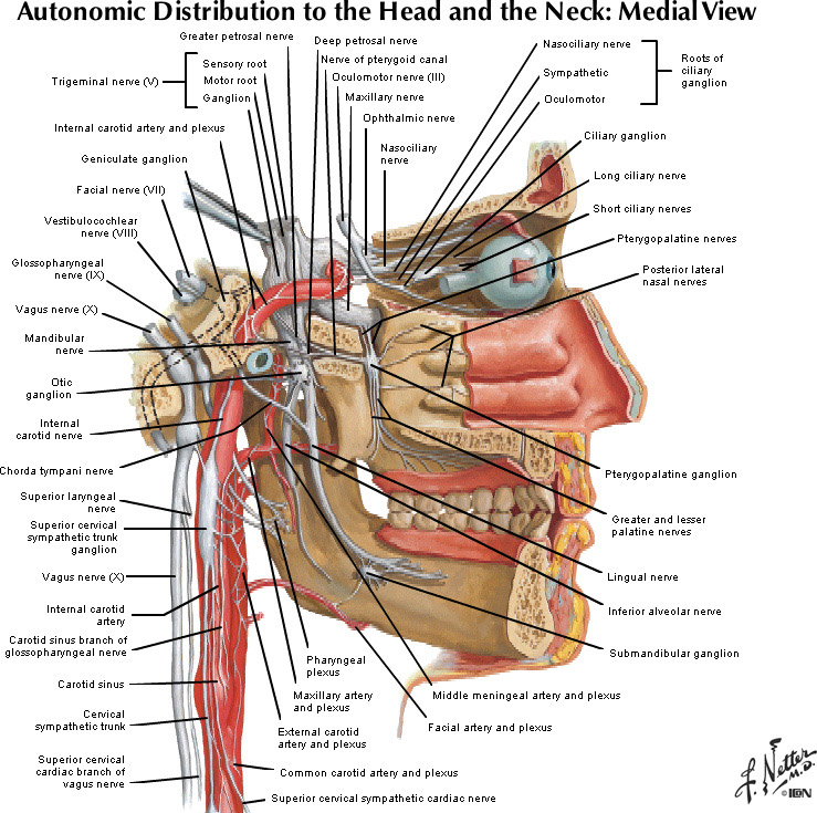 %_tempFileNameFigureII.37_l%
