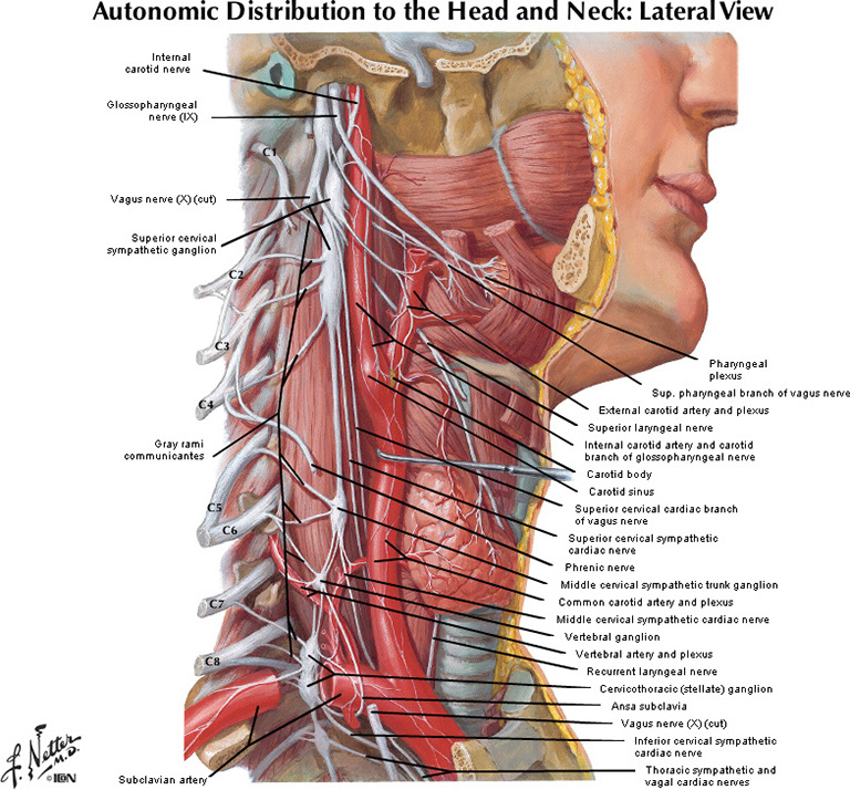 %_tempFileNameFigureII.38_l%