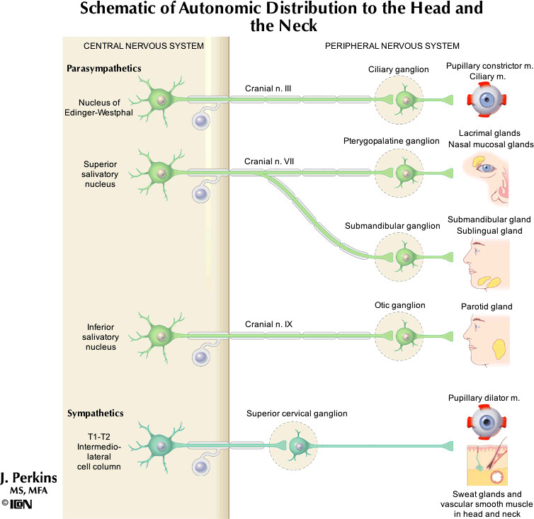 %_tempFileNameFigureII.39_l%