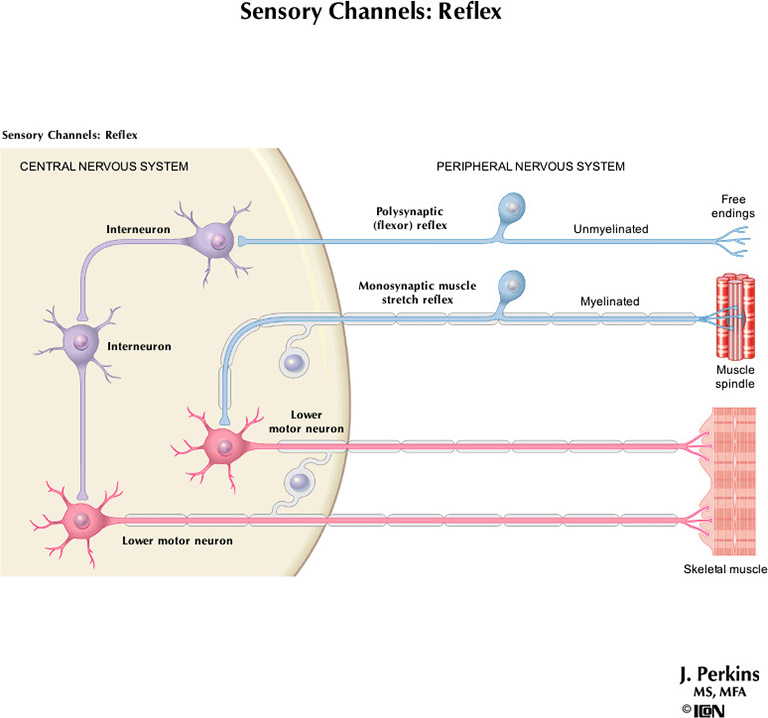 %_tempFileNameFigureII.3_l%