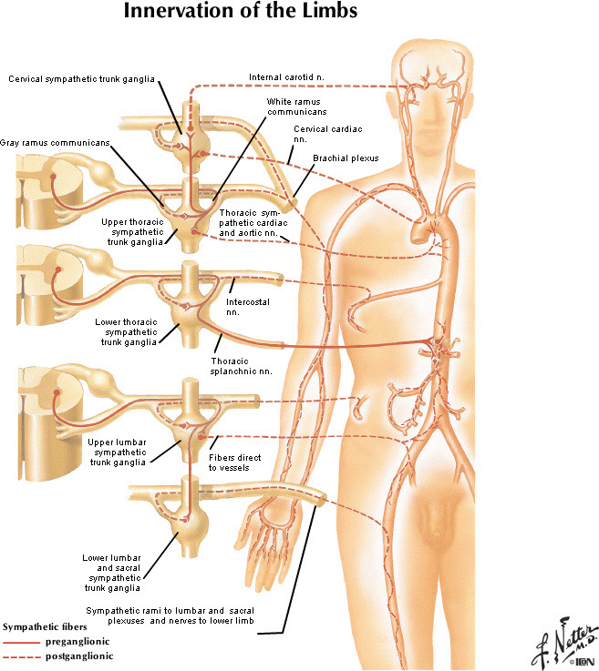 %_tempFileNameFigureII.41_l%