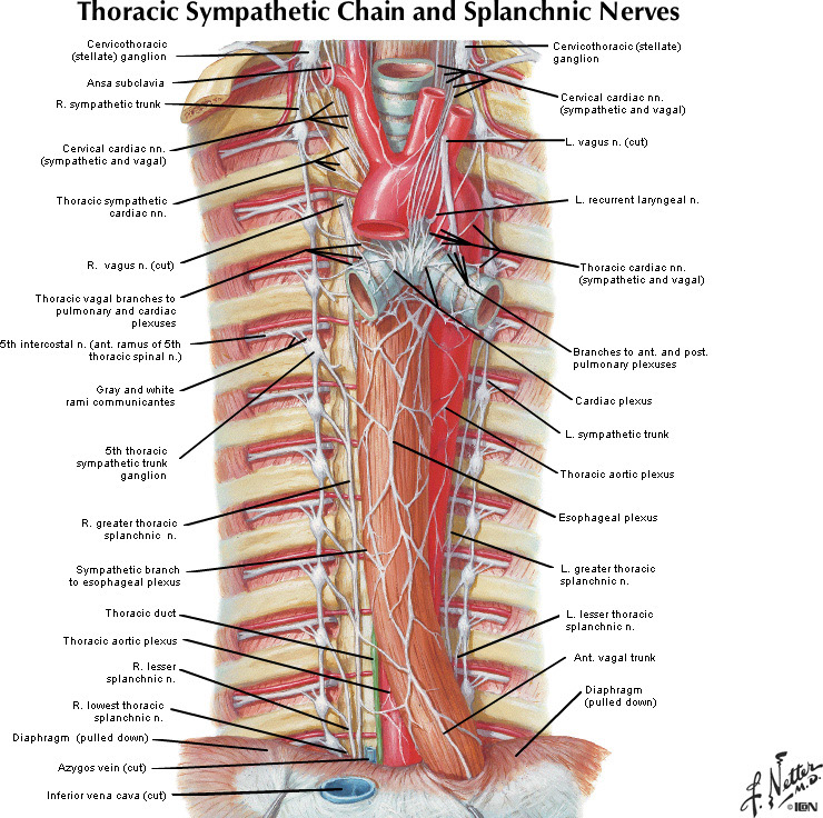 %_tempFileNameFigureII.42_l%