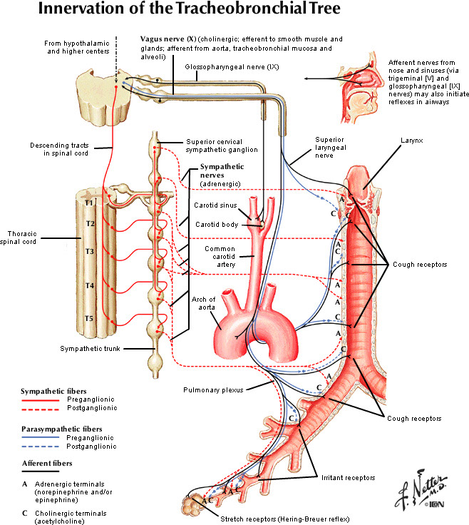 %_tempFileNameFigureII.43_l%