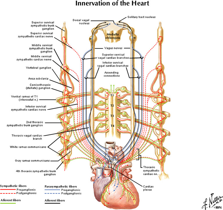 %_tempFileNameFigureII.44_l%