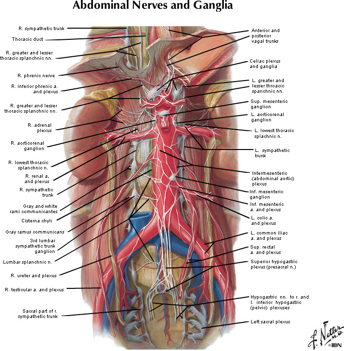 %_tempFileNameFigureII.45_l%