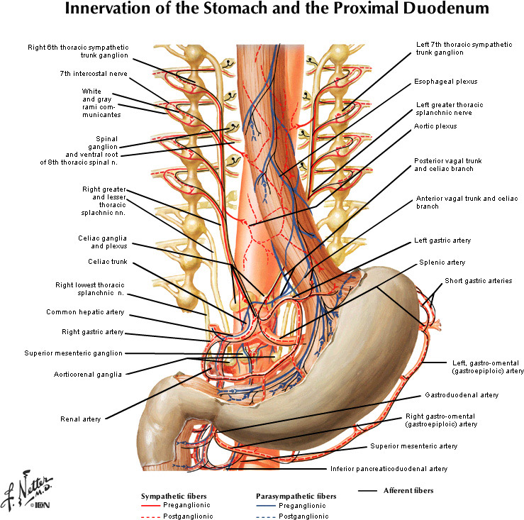 %_tempFileNameFigureII.46_l%