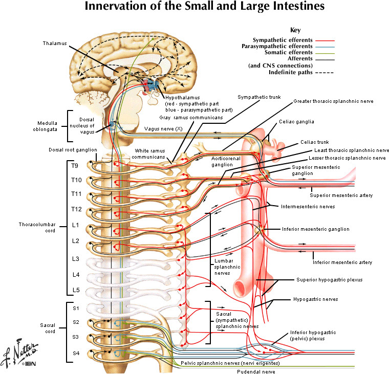 %_tempFileNameFigureII.47A_l%