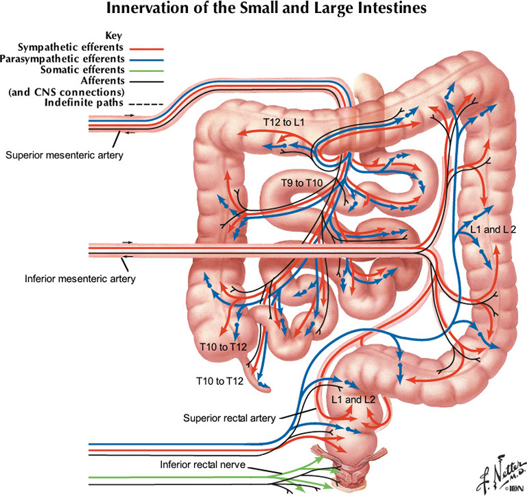%_tempFileNameFigureII.47B_l%