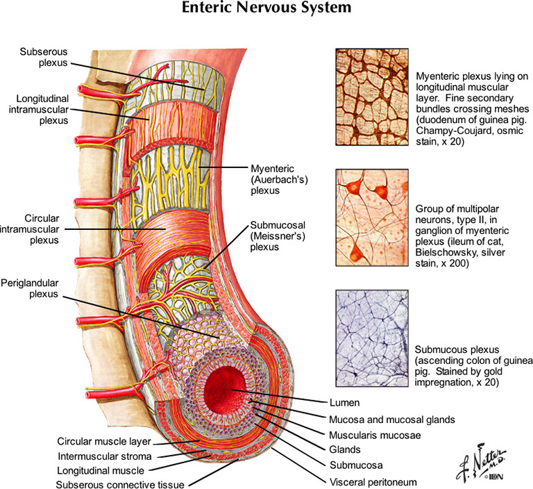 %_tempFileNameFigureII.48_l%