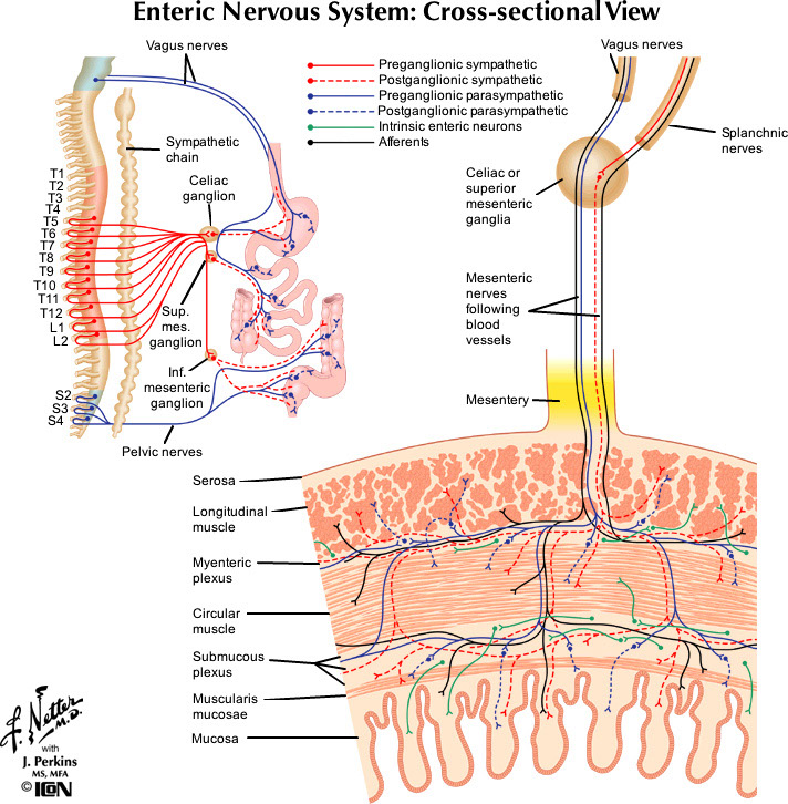 %_tempFileNameFigureII.49_l%