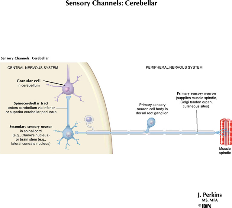 %_tempFileNameFigureII.4_l%