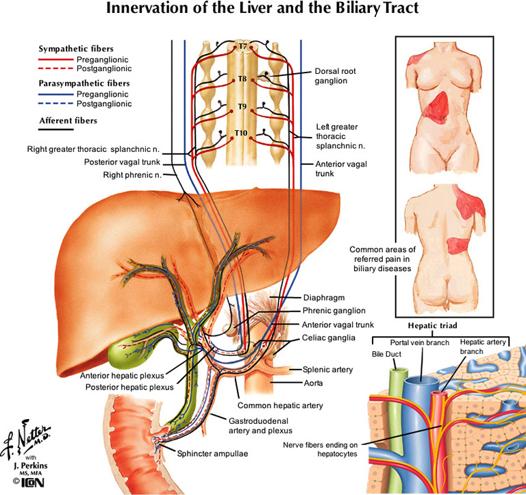 %_tempFileNameFigureII.50_l%