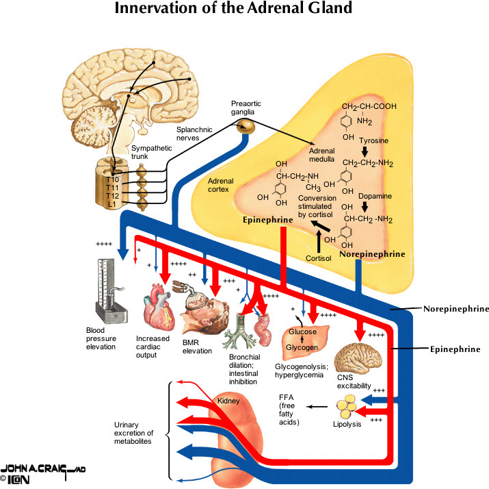 %_tempFileNameFigureII.51_l%
